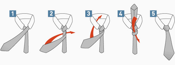uniform ties graph prince albert necktie knot