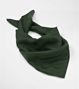 Women Scarves Women Scarves